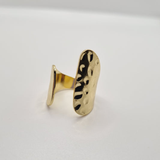 Abstract Plate Ring
